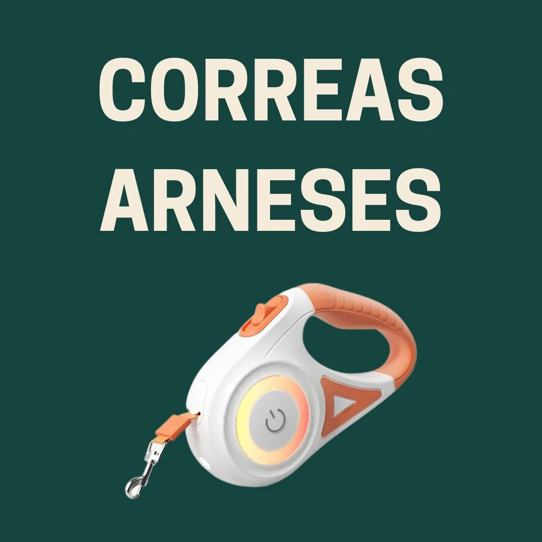 Correas y arneses