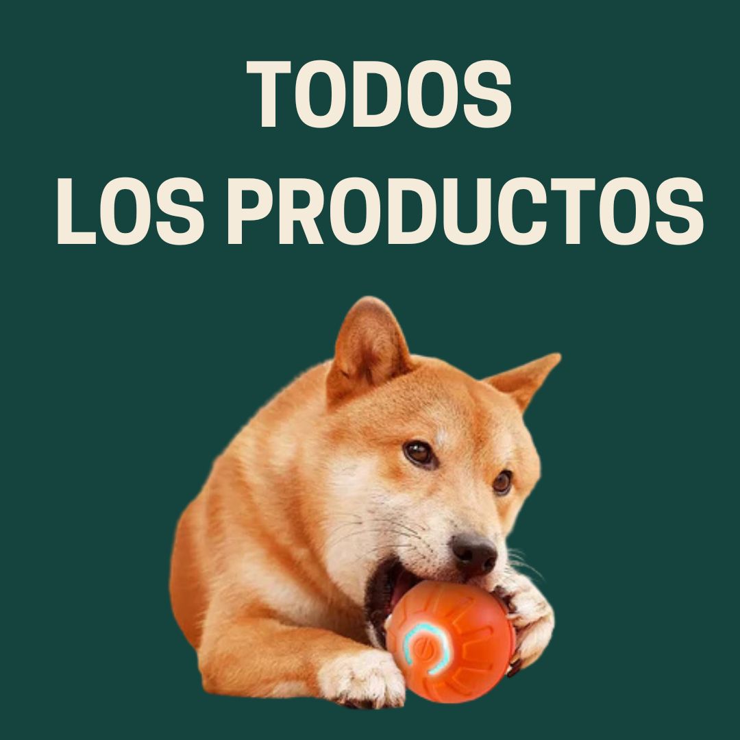 Todos los productos🐾