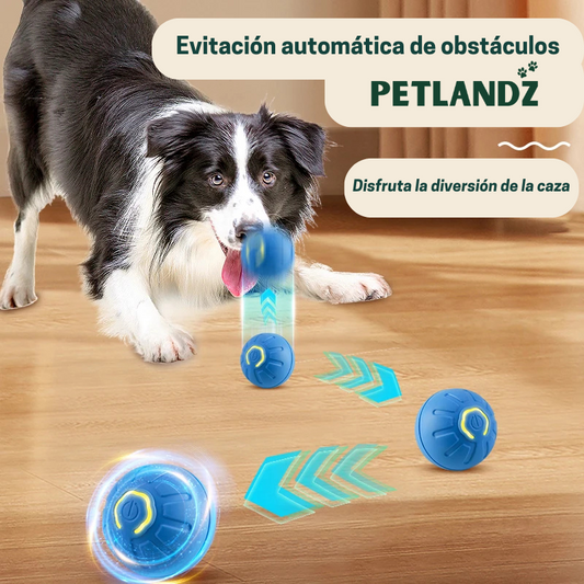 Bola Saltarina Para Perros™